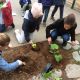 Le jardin de l'école