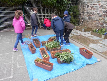 Atelier jardinage