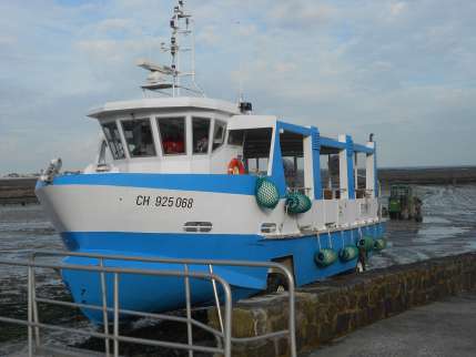 Classe de mer à Tatihou