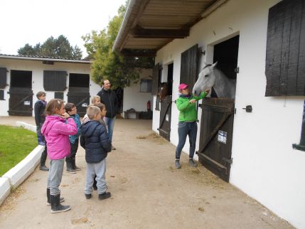 Equitation