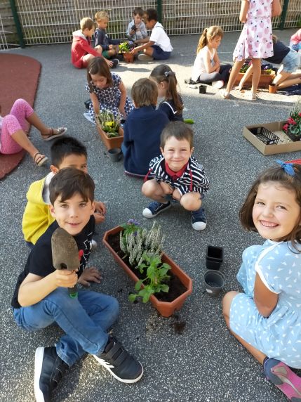 Fleurissement de l'école