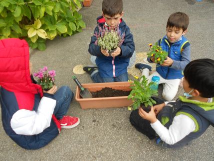 Fleurissement de l'école