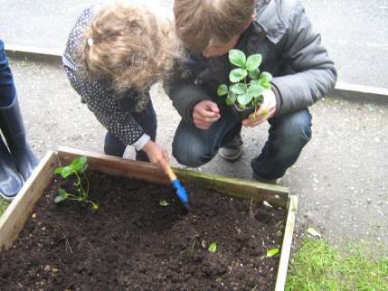 Jardinage à l'école