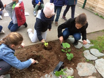 Le jardin de l'école