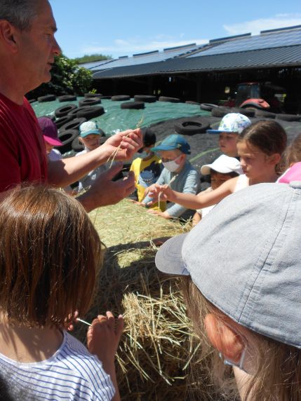 Sortie à la ferme de Raids