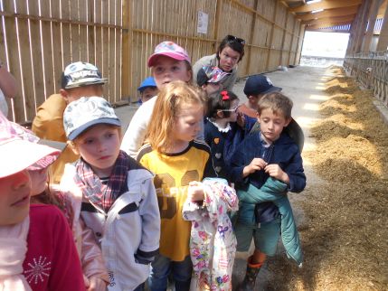 Visite à la ferme